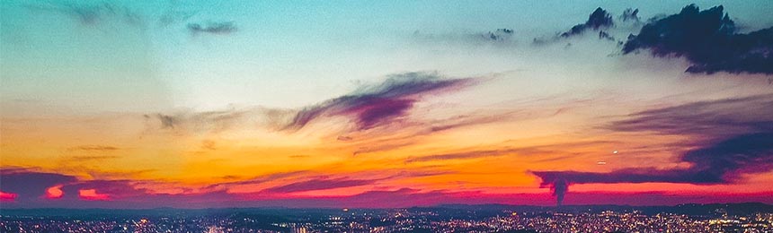 陵水茶虫网_陵水品茶